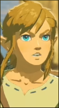 [Sets] Zelda - Breath of the Wild Ava17