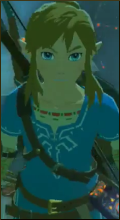 [Sets] Zelda - Breath of the Wild Ava40