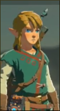 [Sets] Zelda - Breath of the Wild Ava45