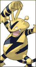 [Crie-Seu-Set] Pokémon 125-electabuzz